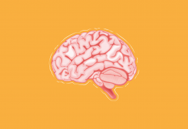 Imagem de um cérebro em um fundo amarelo
