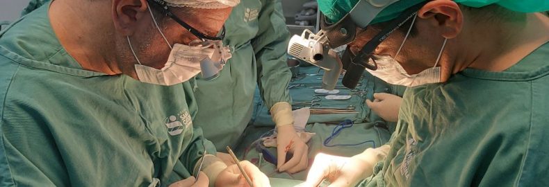 Fotografia. Na imagem, aparecem dois médicos com pijamas de cirurgia de cor verde realizando uma cirurgia cardíaca infantil no coração de um bebê.